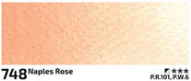 Akvarelová barva Rosa 2,5ml – 748 naples rose