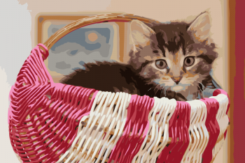 Malování podle čísel – kotě v košíku 40x60cm