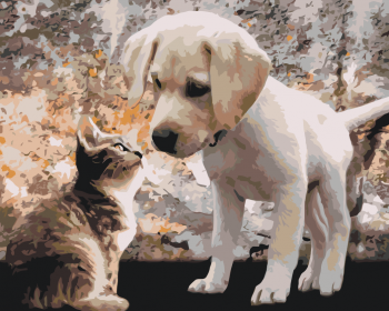 Malování podle čísel – štěně a kotě 40x50cm
