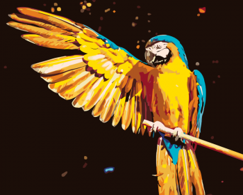 Malování podle čísel – papoušek Ara 40x50cm