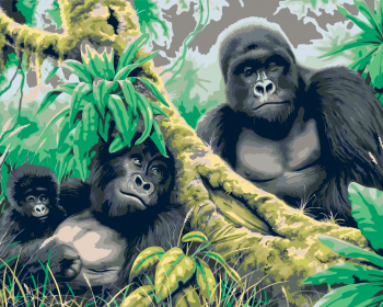 Malování podle čísel – gorilí rodinka 40x50cm