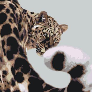 Malování podle čísel – gepard 50x50cm