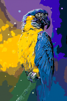 Malování podle čísel – papoušek 40x60cm