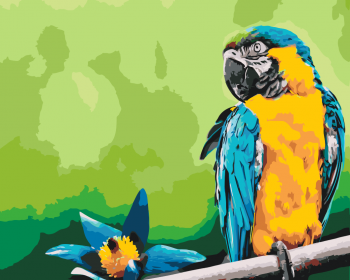 Malování podle čísel – papoušek a květina 40x50cm