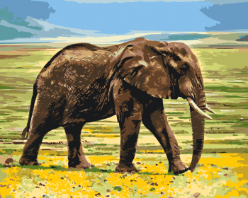 Malování podle čísel – Safari slon 40x50cm – vyberte variantu