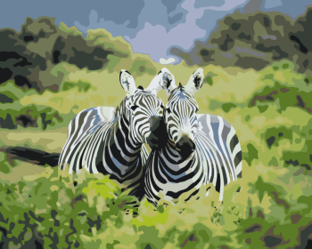 Malování podle čísel – Safari zebry 40x50cm