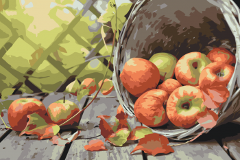 Malování podle čísel – jablka v košíku 40x60cm – vyberte variantu