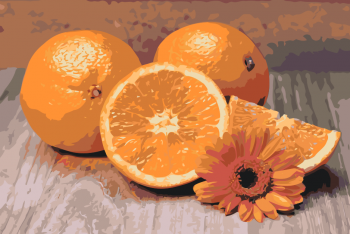 Malování podle čísel – pomeranč 40x60cm – vyberte variantu