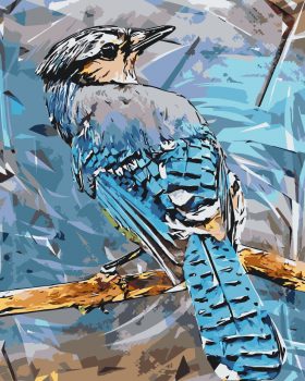Malování podle čísel – ptáček Blue Jay 40x50cm