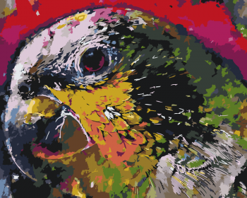 Malování podle čísel – hlava papouška 40x50cm – vyberte variantu