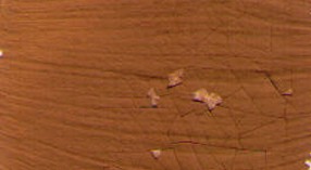 Restaurátorská barva Renesans 20ml – 08 Gold ochre