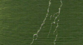 Restaurátorská barva Renesans 20ml – 16 Chromium oxide green