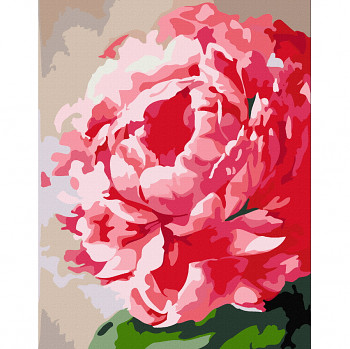 Malování podle čísel Rosa – 652 květina