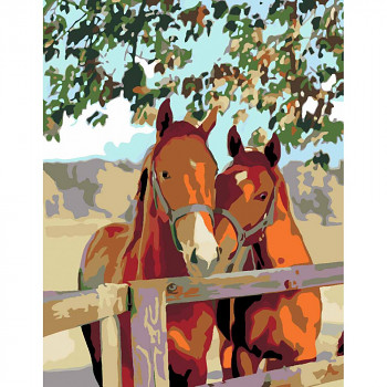 Malování podle čísel Rosa – 383 pár koní 