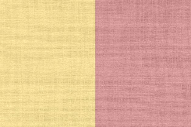 Renesans Akryl 100ml – 73 Bicolor žluto-červená