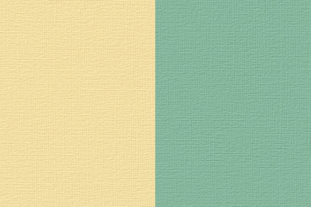 Renesans Akryl 100ml – 74 Bicolor žluto-zelená