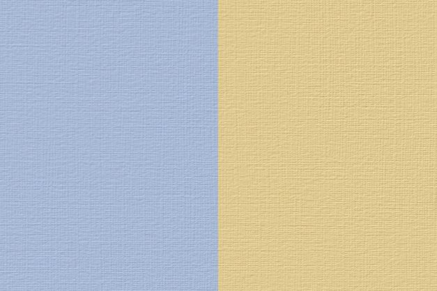 Renesans Akryl 100ml – 75 Bicolor žluto-modrá