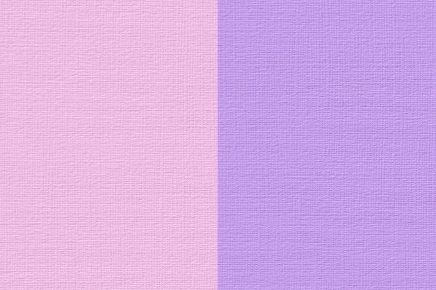 Renesans Akryl 100ml – 77 Bicolor růžovo-fialová