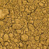 Pigment Zlatá loď 100g – 40241 Hněď srnčí (PY43)