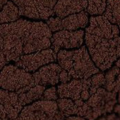 Pigment Zlatá loď 100g – 48750 Kaput mortuum tmavé fialové (PR101)