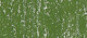 Sennelier suchý pastel 168 Moss Grey Green