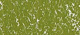 Sennelier suchý pastel 169 Moss Grey Green