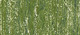 Sennelier suchý pastel 237 Olive Green