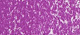 Sennelier suchý pastel 309 Madder Violet