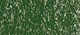 Sennelier suchý pastel 910 Forest Green No1