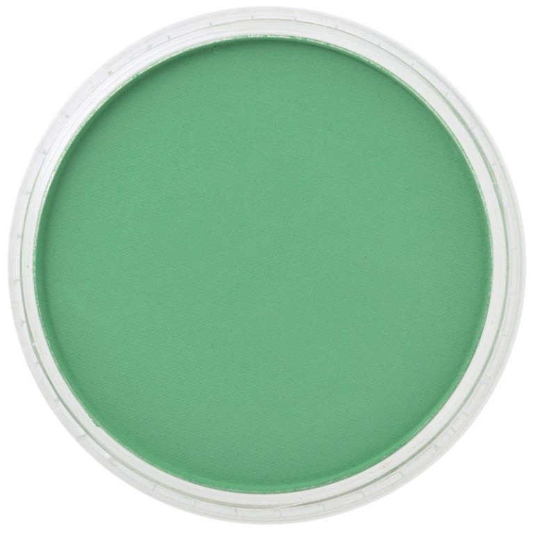 PanPastel 9ml – 640.5 Permanent Green