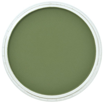 PanPastel 9ml – 660.3 Chromium Oxide Green Shade