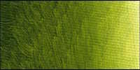Olejová barva Old Holland 40ml – 298 Old Holland Golden Green Deep