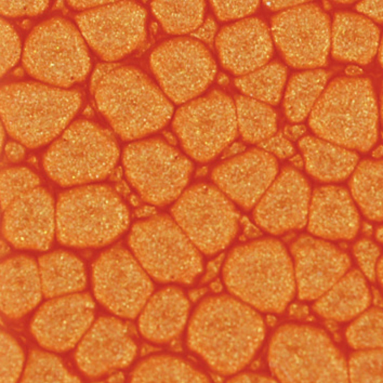 Barva Pébéo Fantasy Prisme 45ml – 16 Mandarine