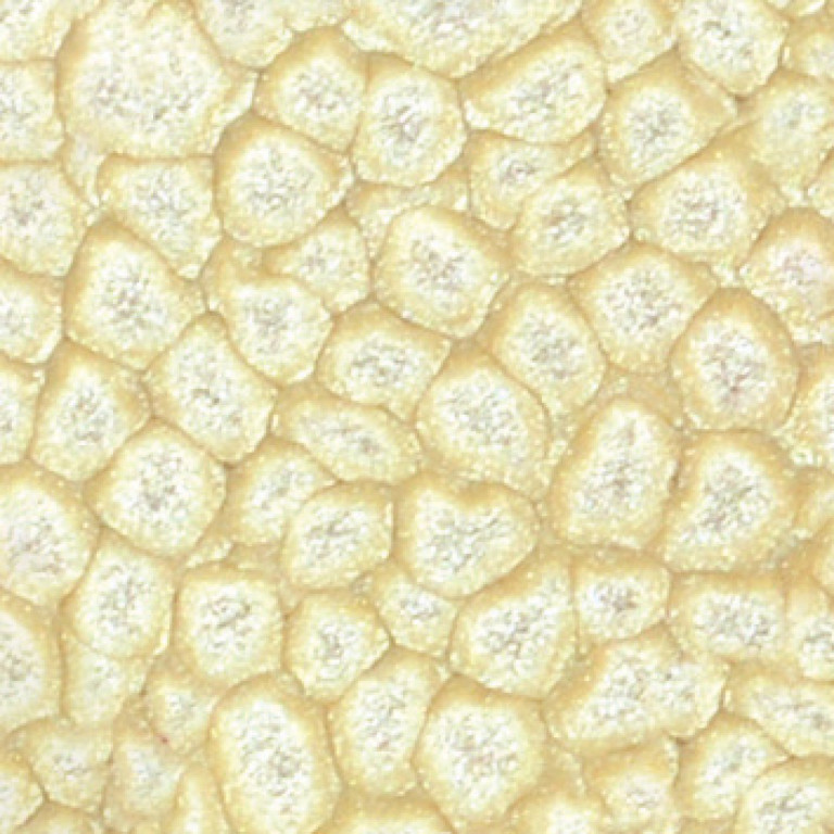 Barva Pébéo Fantasy Prisme 45ml – 20 Eggshell white