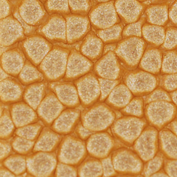 Barva Pébéo Fantasy Prisme 45ml – 23 Summer yellow