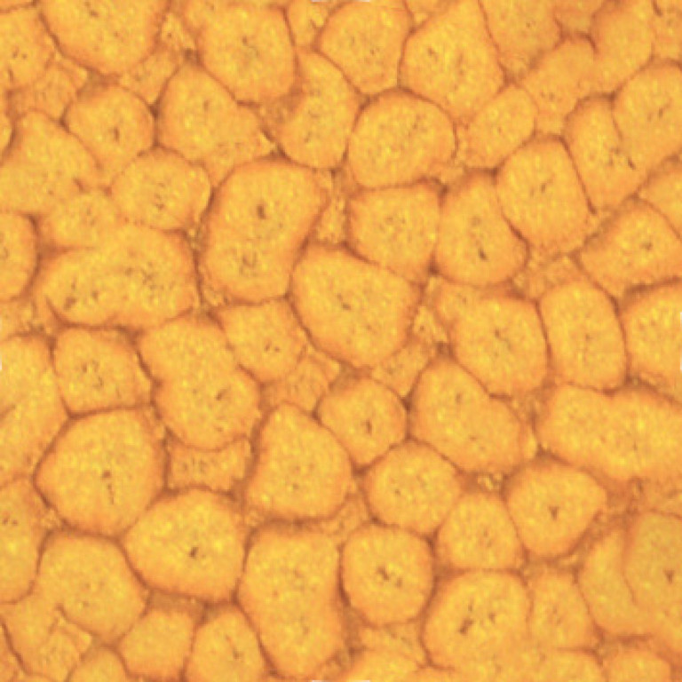 Barva Pébéo Fantasy Prisme 45ml – 24 Buttercup