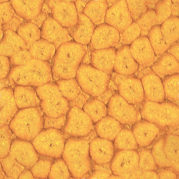 Barva Pébéo Fantasy Prisme 45ml – 24 Buttercup