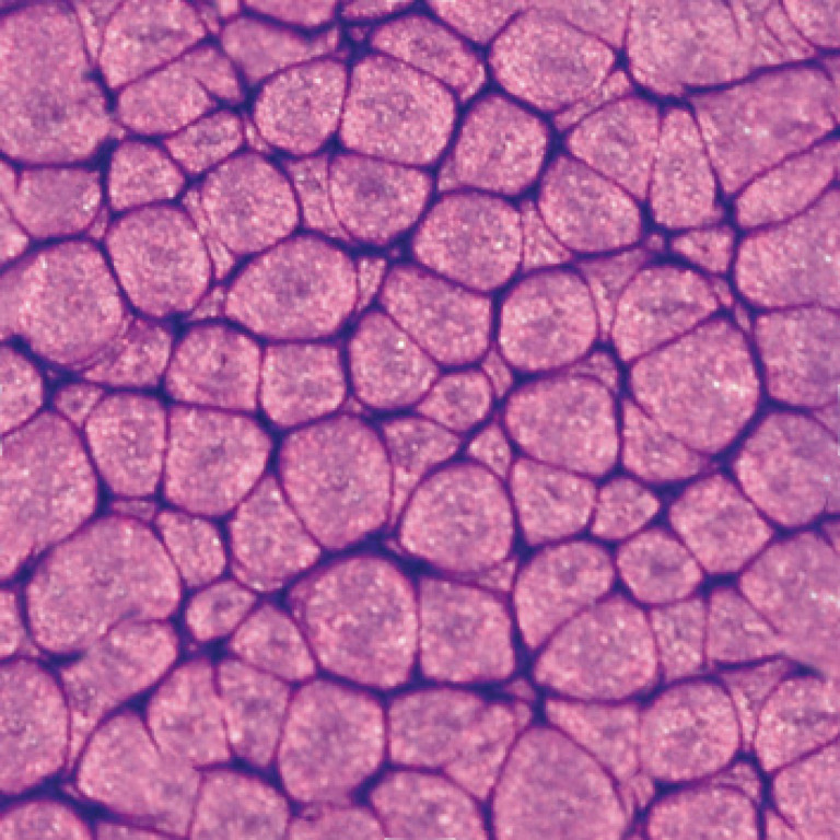 Barva Pébéo Fantasy Prisme 45ml – 25 Pearl violine