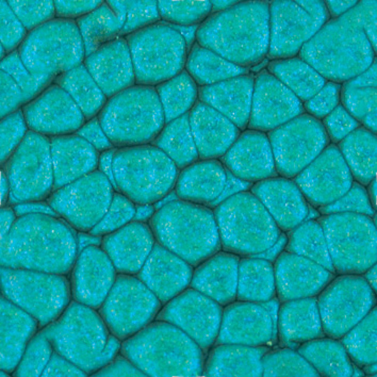 Barva Pébéo Fantasy Prisme 45ml – 40 Turquoise