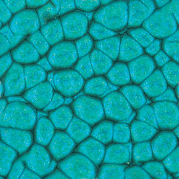 Barva Pébéo Fantasy Prisme 45ml – 40 Turquoise