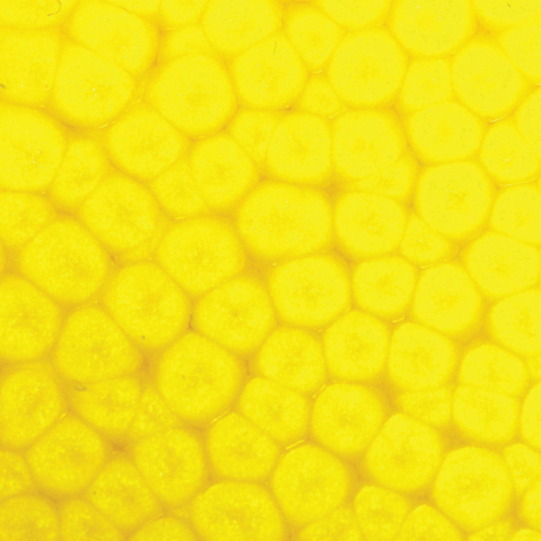 Barva Pébéo Fantasy Prisme 45ml – 60 Fluorescent yellow