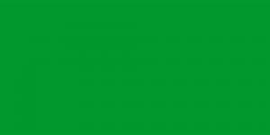 Akrylová barva Abstract 120ml – 811 Permanent Green Light