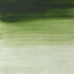 Olejová barva W&N Alkyd 37ml – 637 Terre Verte