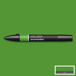 Forrest Green (G356)
