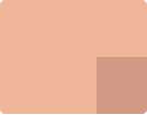 410 Pink Ochre
