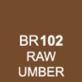 BR102 Raw umber
