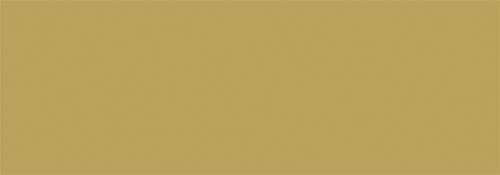 66 khaki