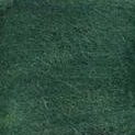 Ovčí vlna barevná 100g – tmavě zelená 19