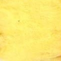 Ovčí vlna barevná 100g – žlutá 2
