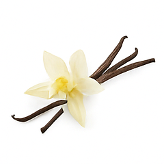 Vůně do svíček 10ml – 01 Vanilka